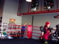 file1098-149-jpg