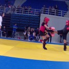 Διασυλλογικοί αγώνες The art of wushu Διασυλλογικοί αγώνες The art of wushu