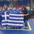 2ο Βαλκανικό πρωτάθλημα wushu kung-fu, Αθήνα. 2ο Βαλκανικό πρωτάθλημα wushu kung-fu, Αθήνα.